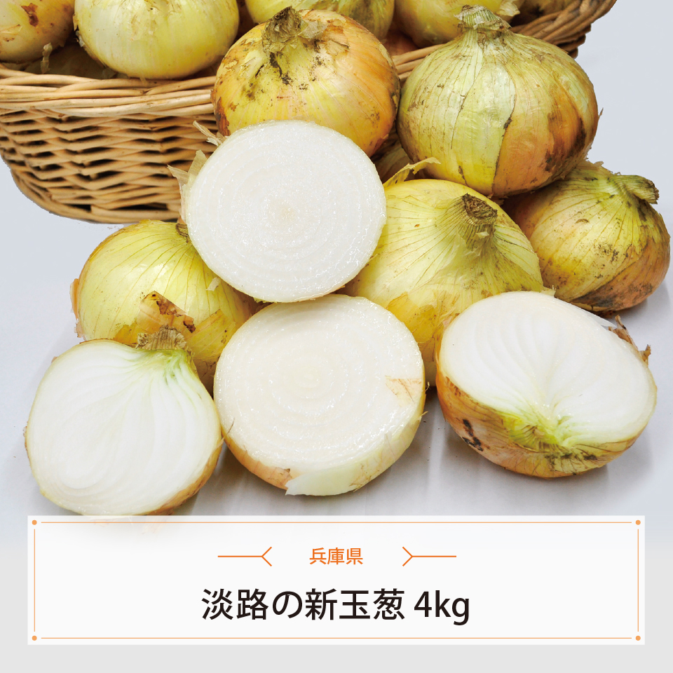 淡路の新玉葱　４ｋｇ