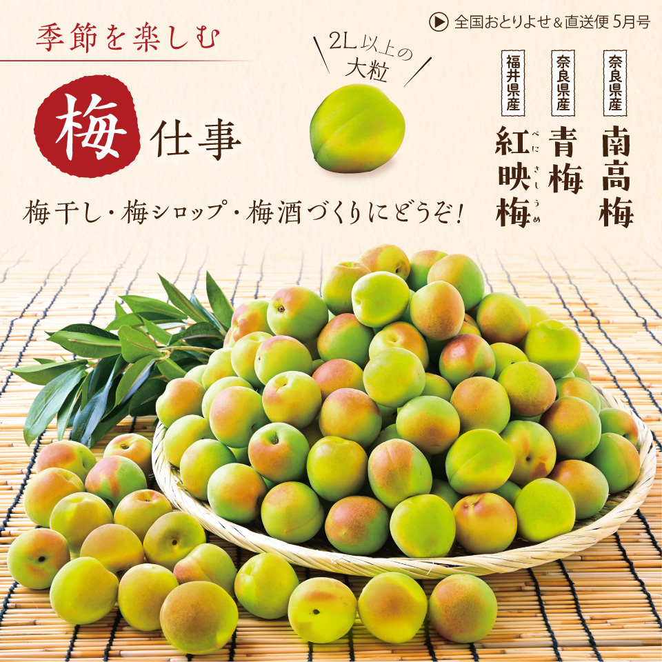 季節を楽しむ梅仕事