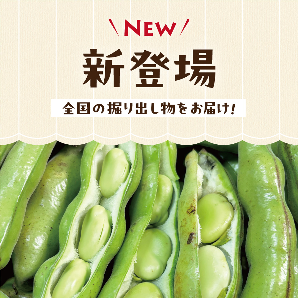 今月の新登場