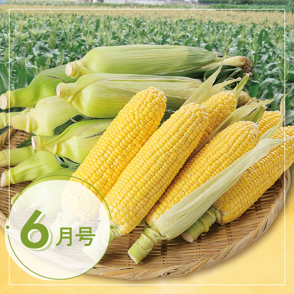 おとりよせ直送便6月号
