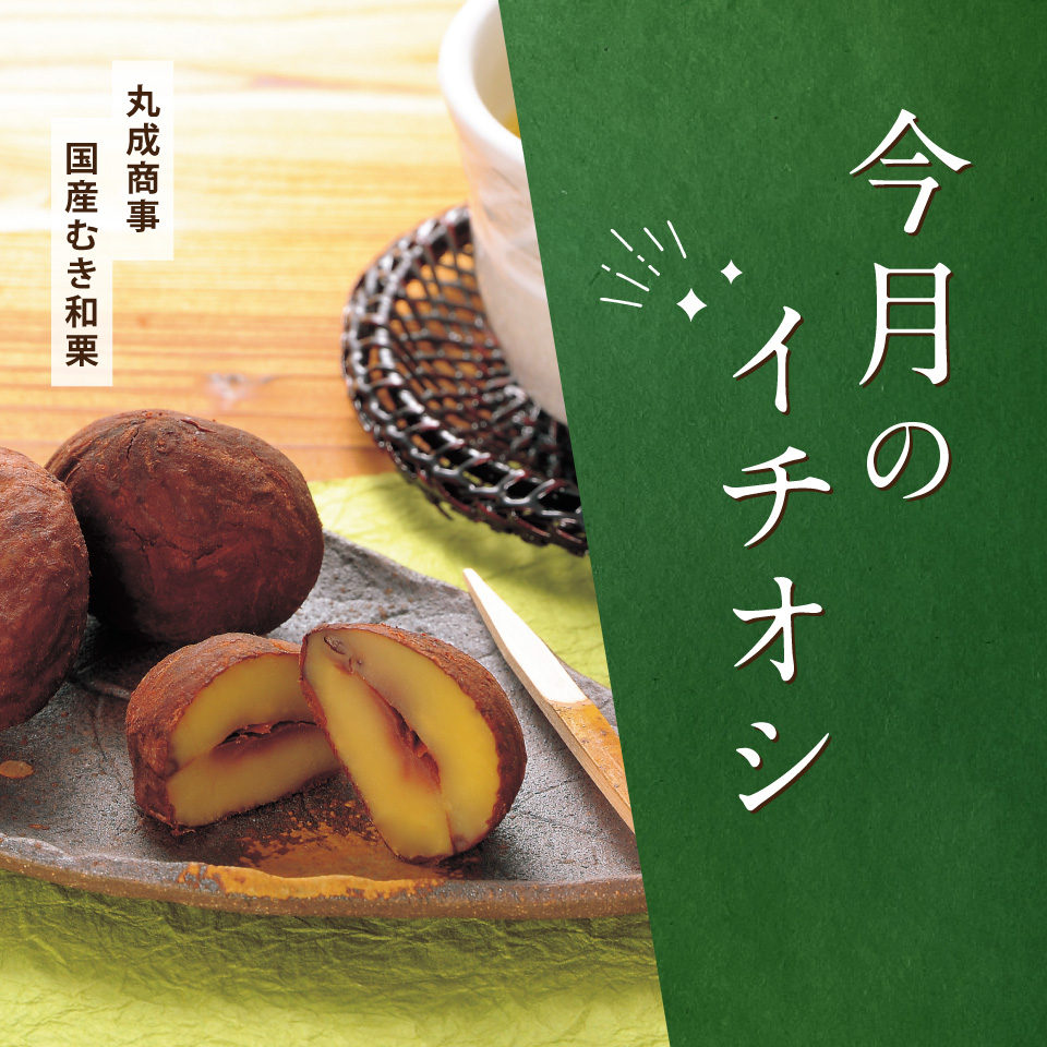 今月のイチオシ
