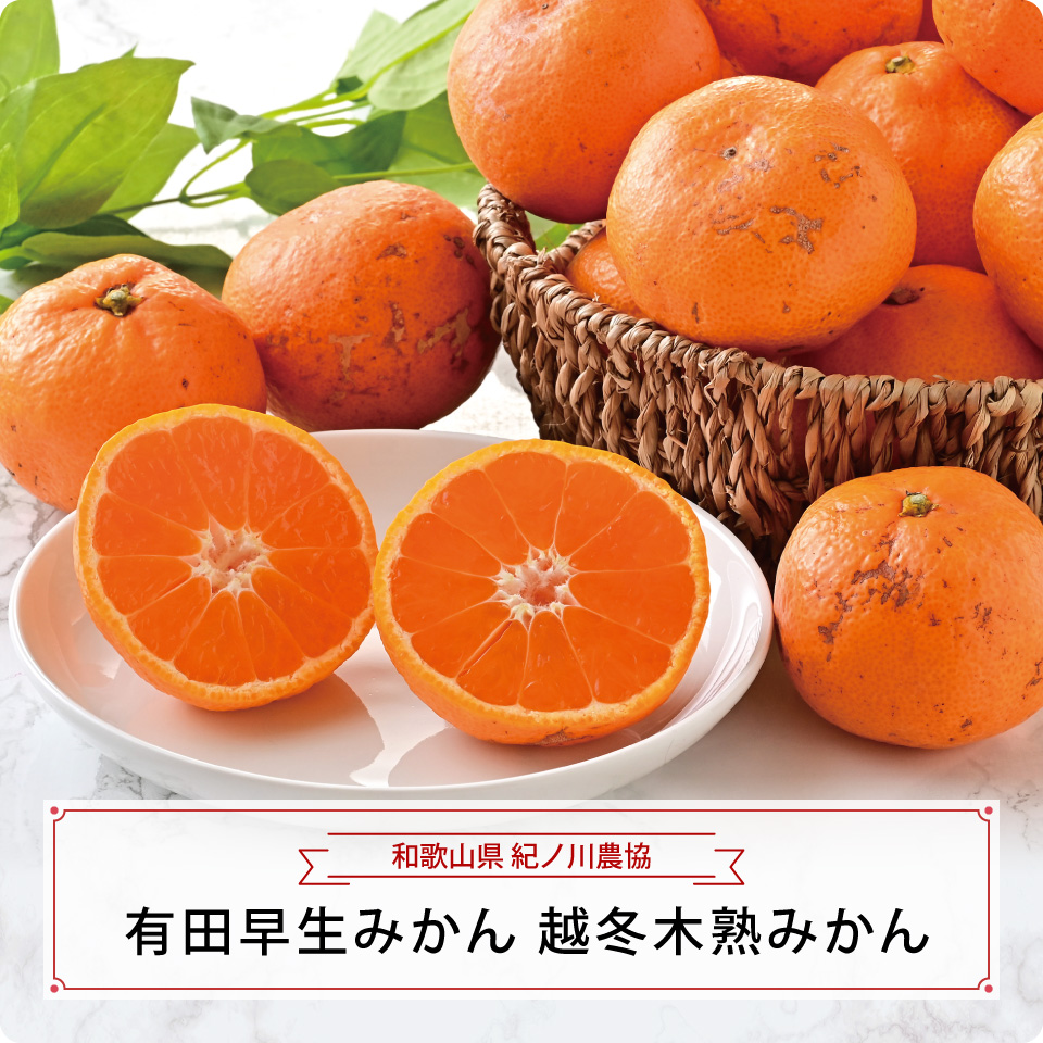 有田早生みかん　越冬木熟みかん