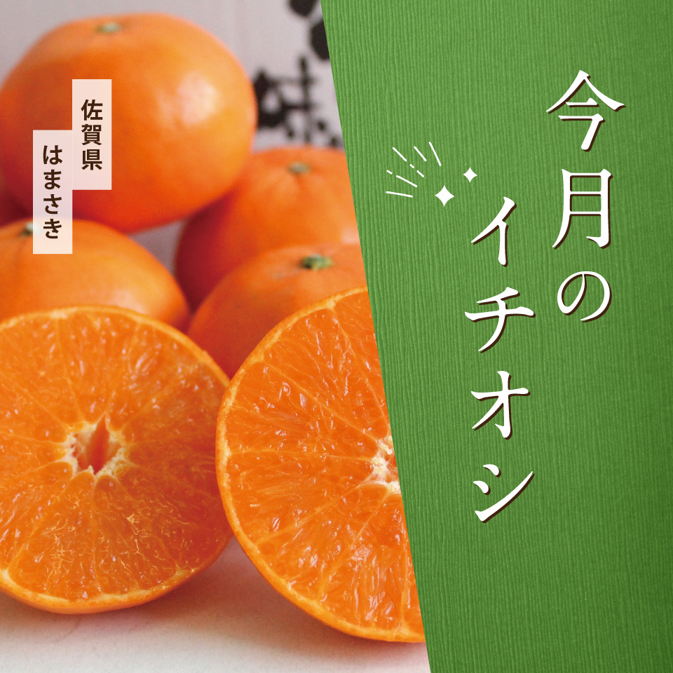 今月のイチオシ