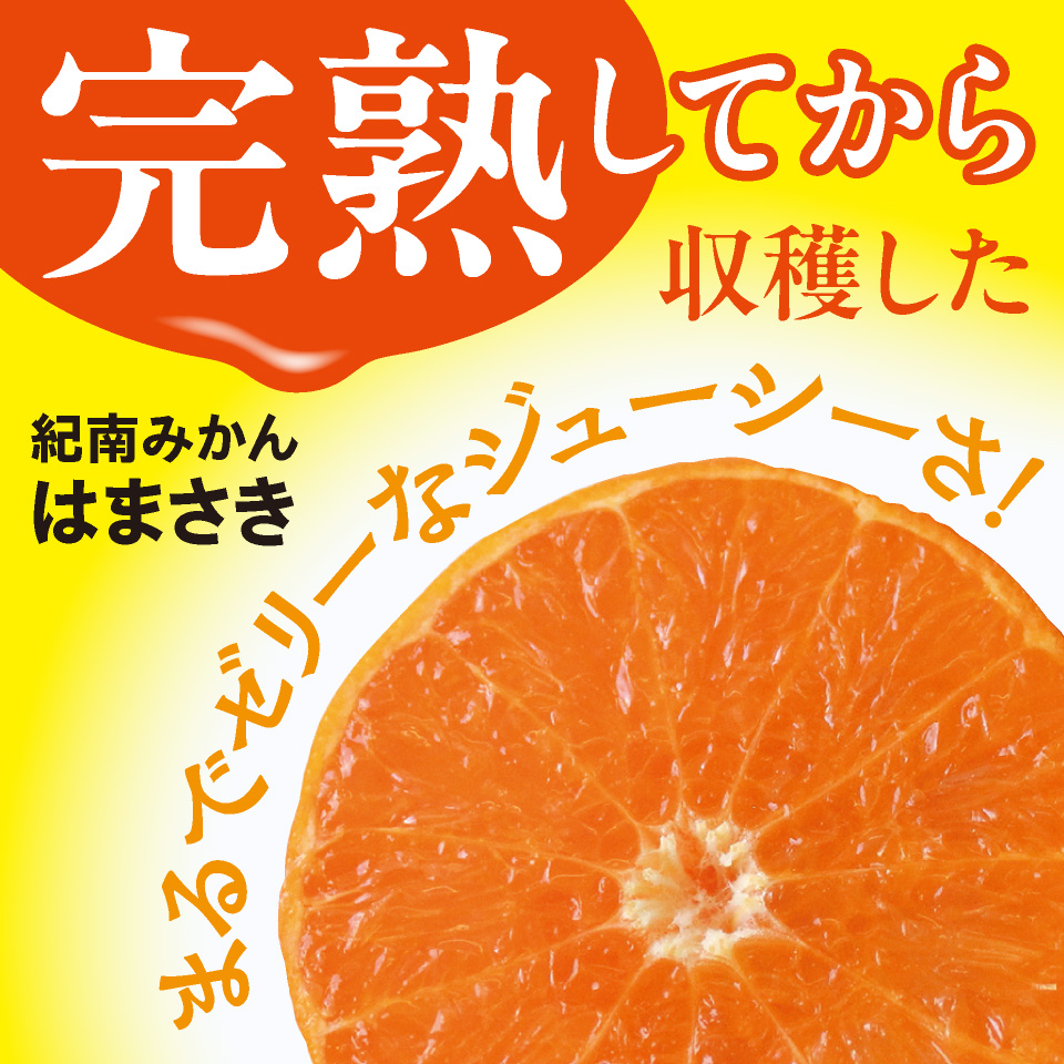 紀南みかん「はまさき」