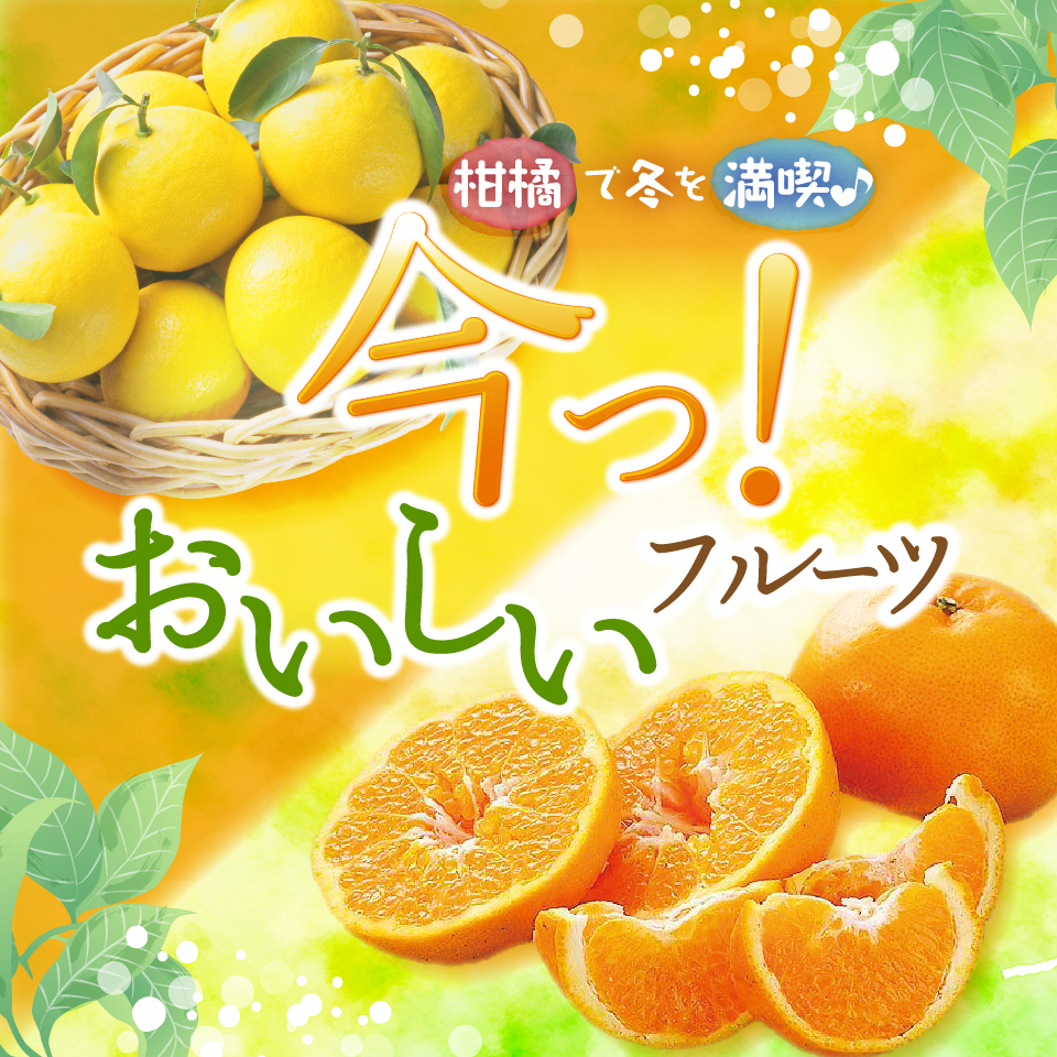 今っ！おいしいフルーツ