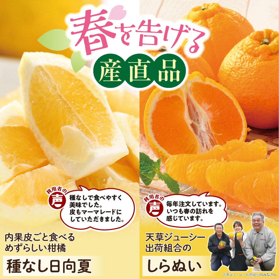 春を告げる産直品