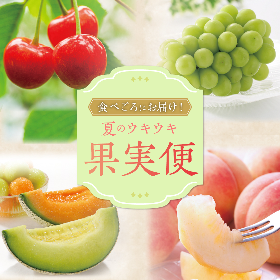 夏のウキウキ果実便