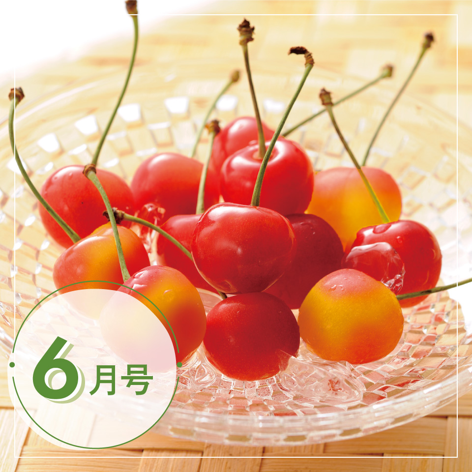 トップバナー
