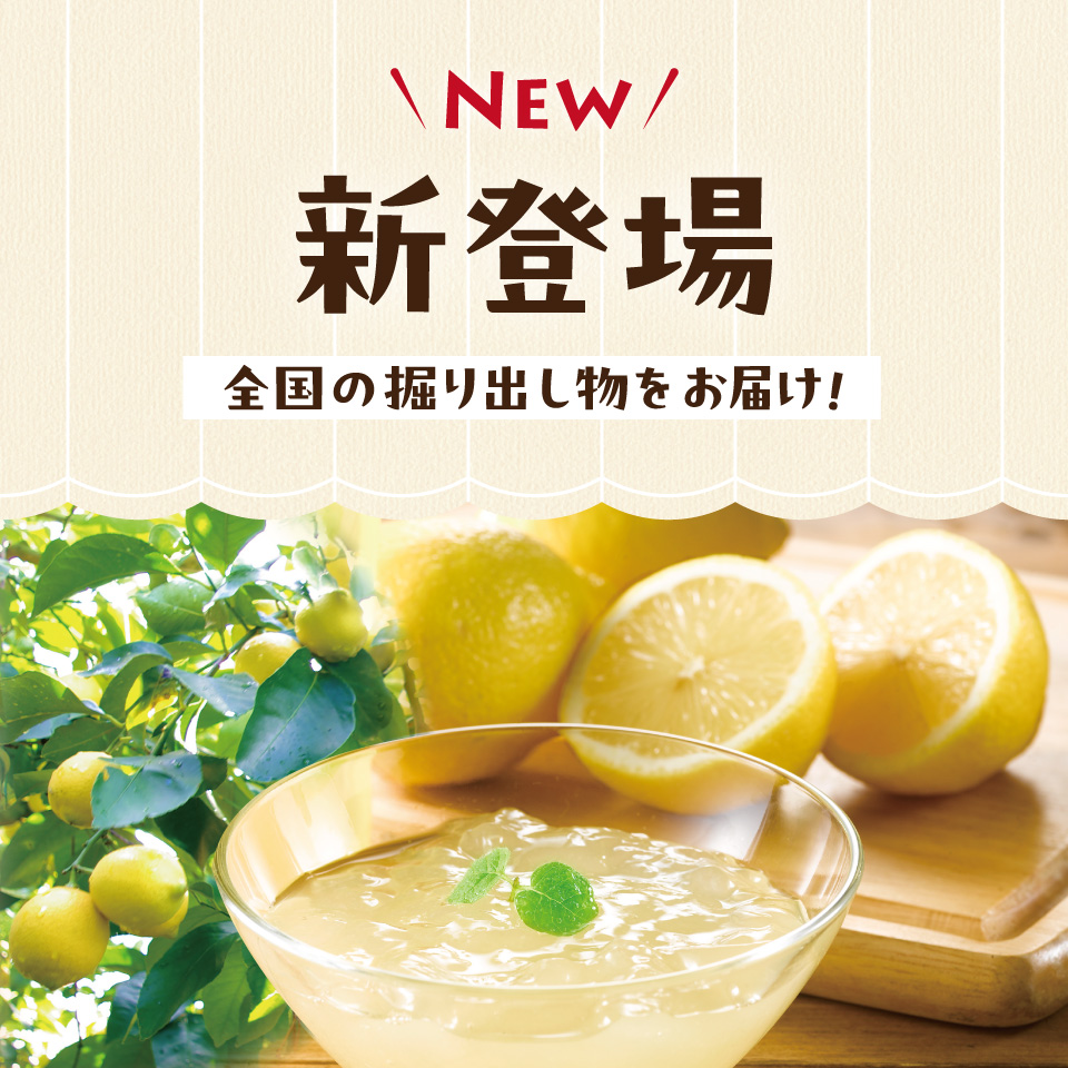 今月の新登場