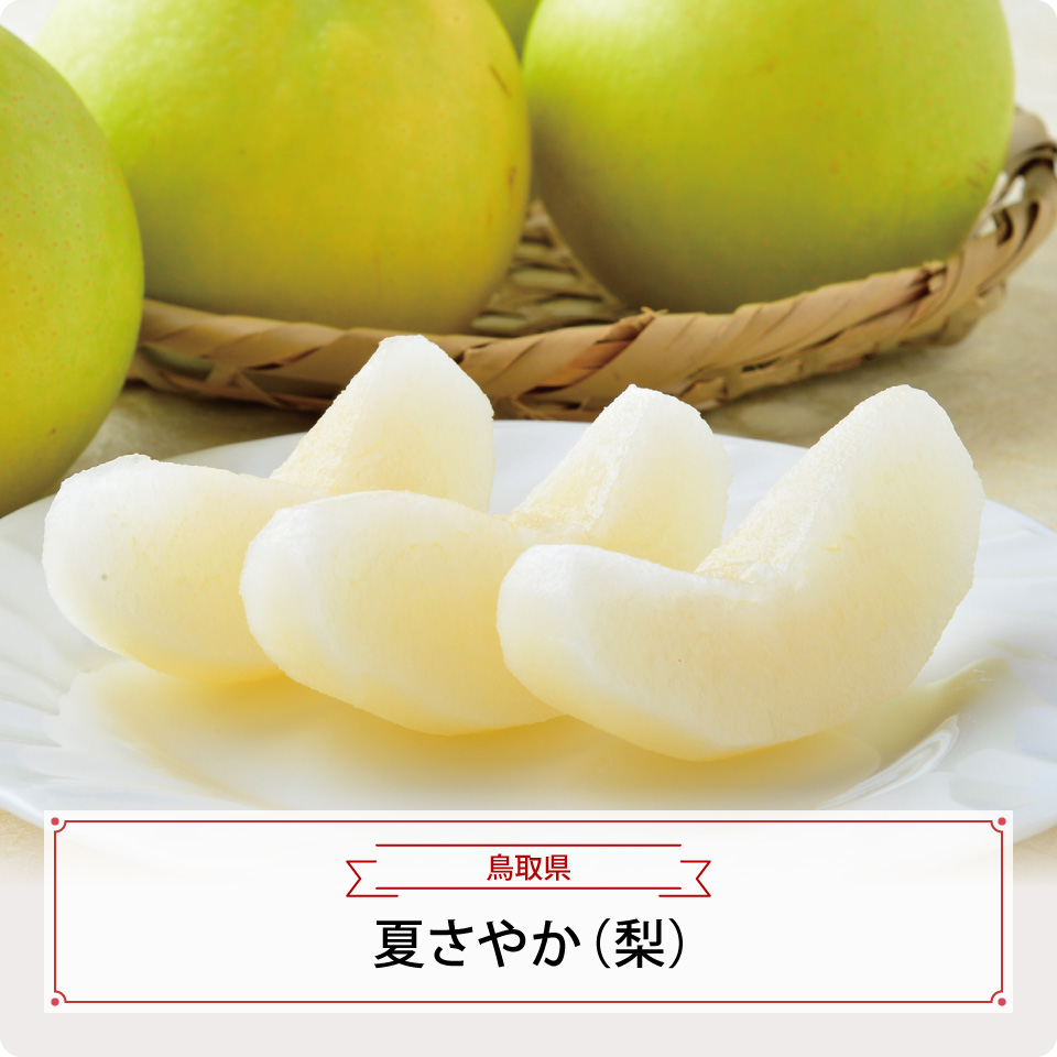 夏さやか（梨）