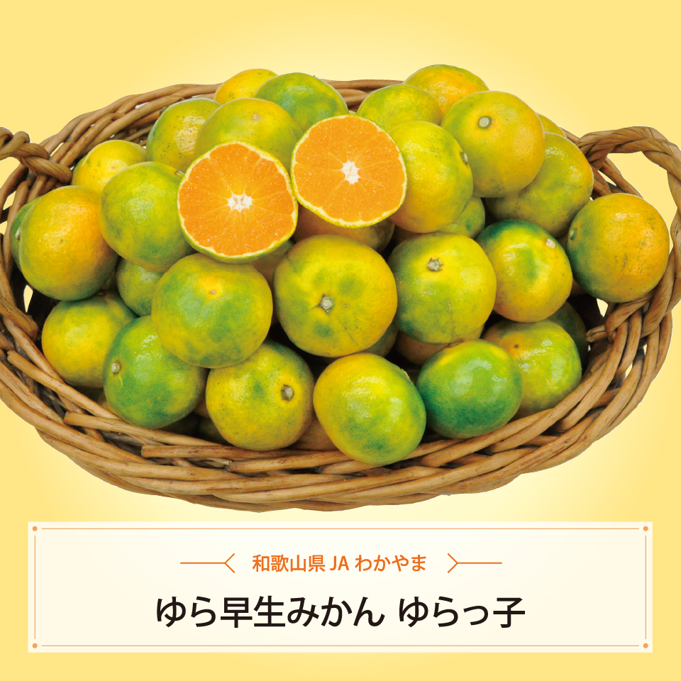 ゆら早生みかん　ゆらっ子