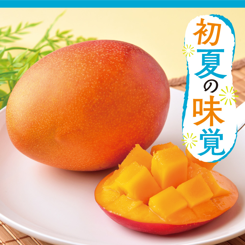 初夏の味覚