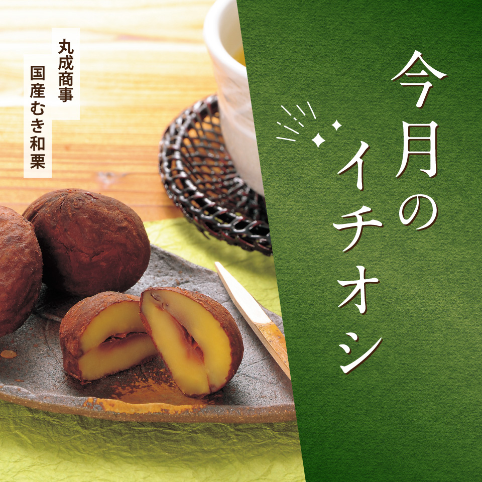 今月のイチオシ