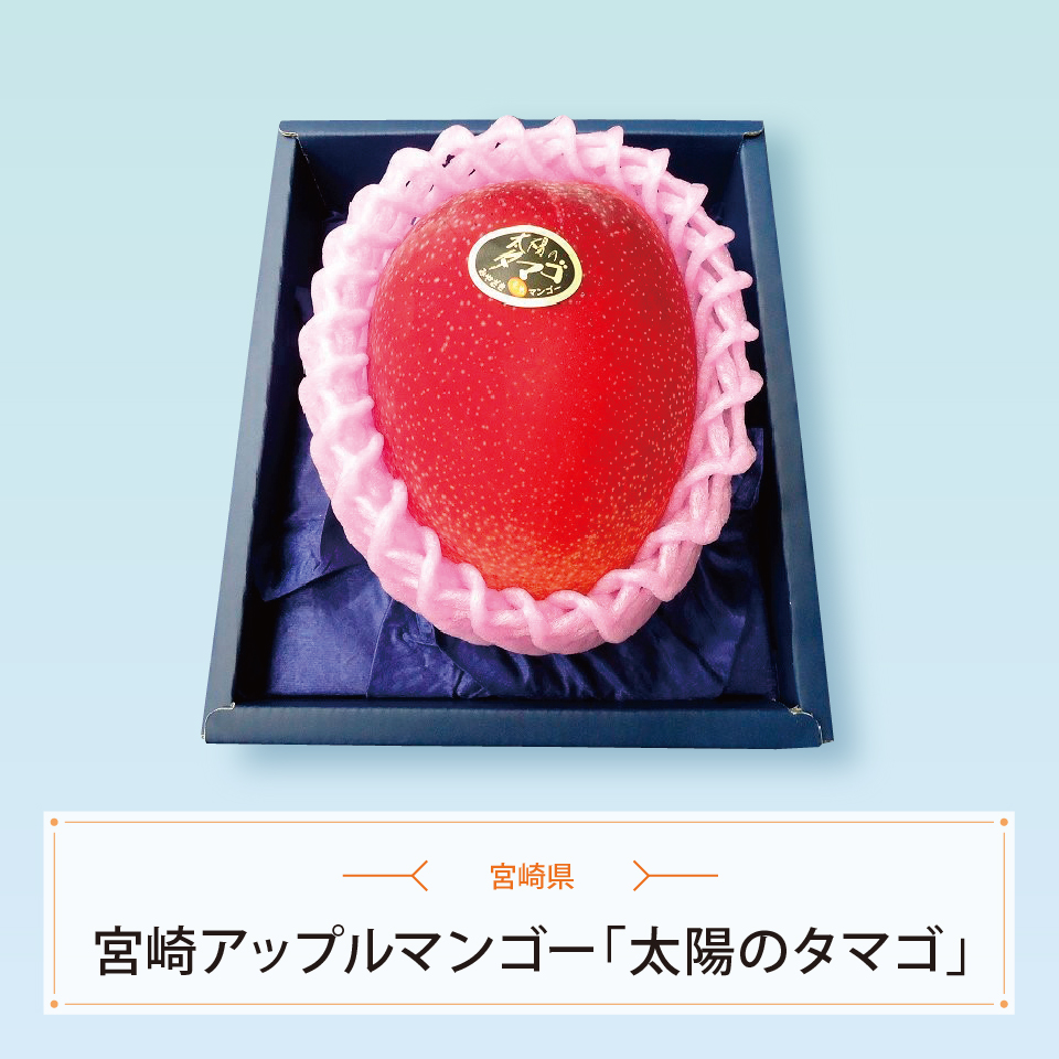 宮崎アップルマンゴー「太陽のタマゴ」　１玉