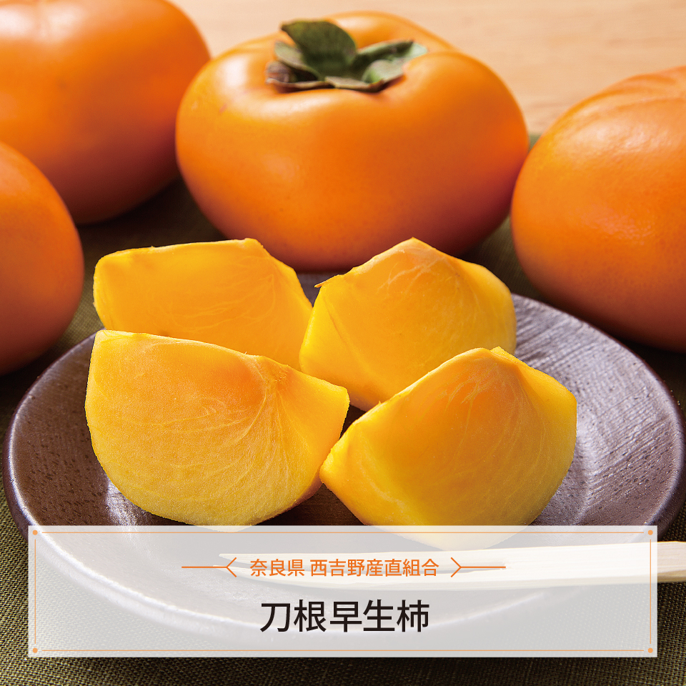 刀根早生柿　２Ｌ　１１玉化粧箱