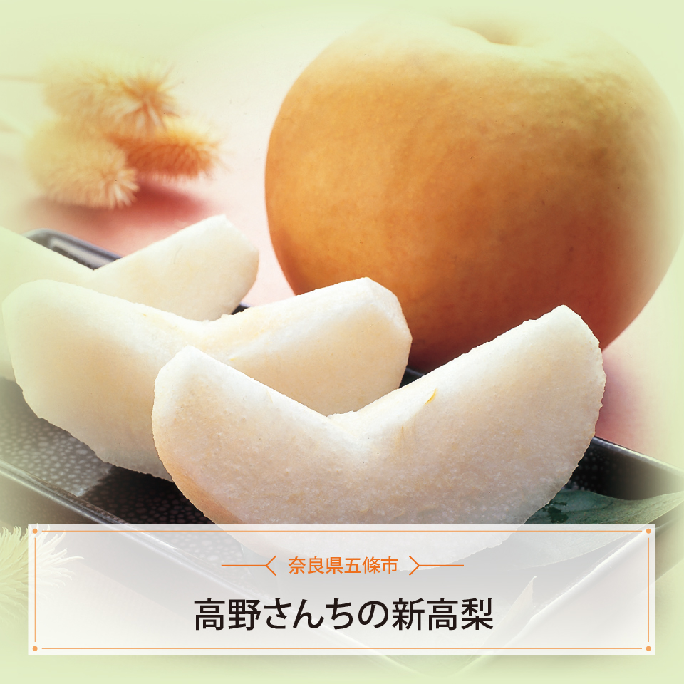 高野さんちの新高梨　３ｋｇ