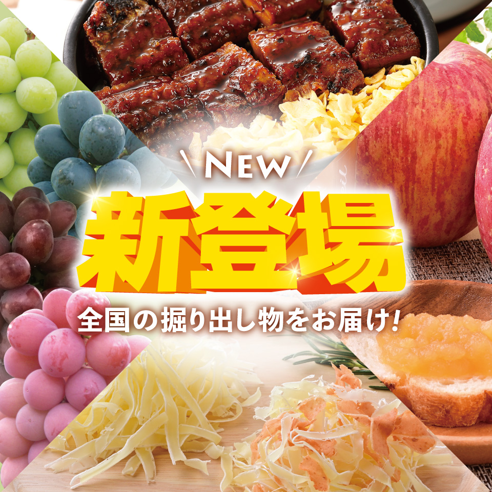 今月の新登場