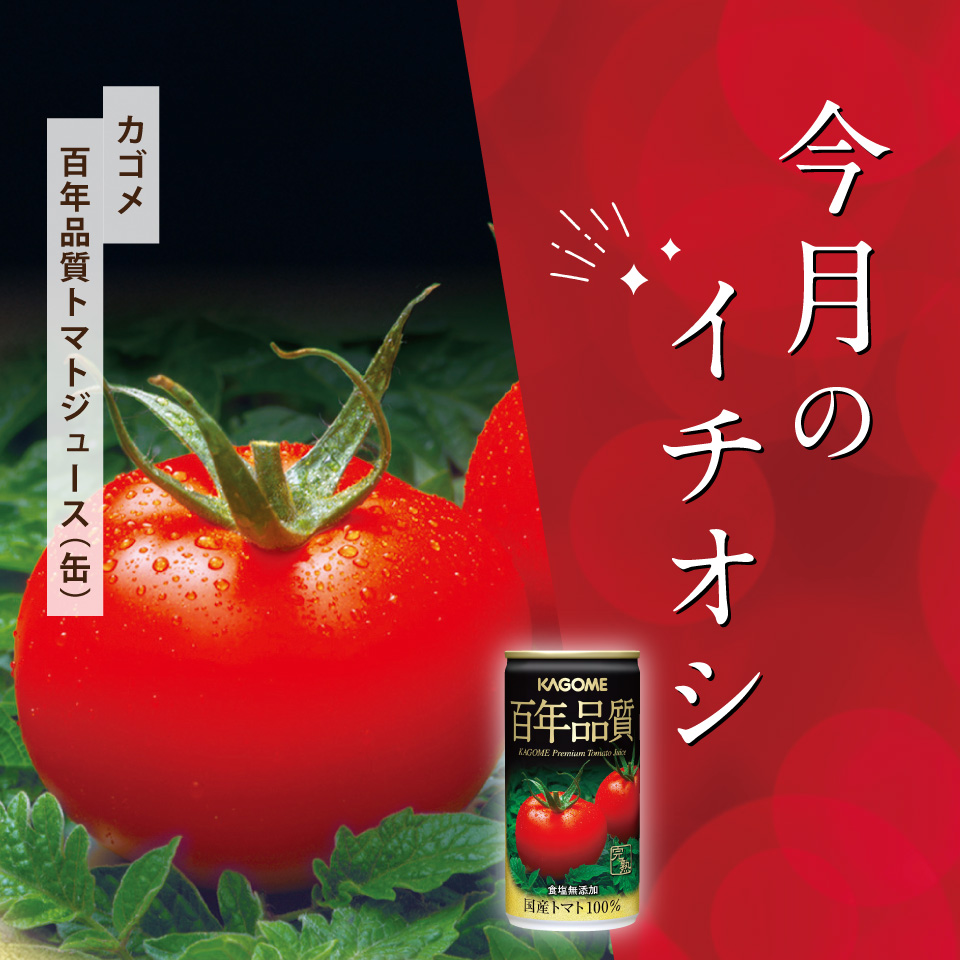 今月のイチオシ