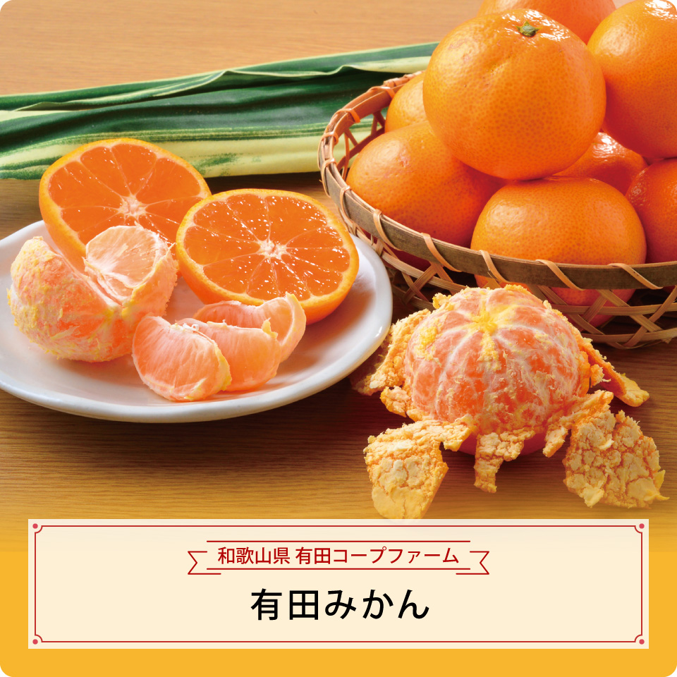 有田みかん