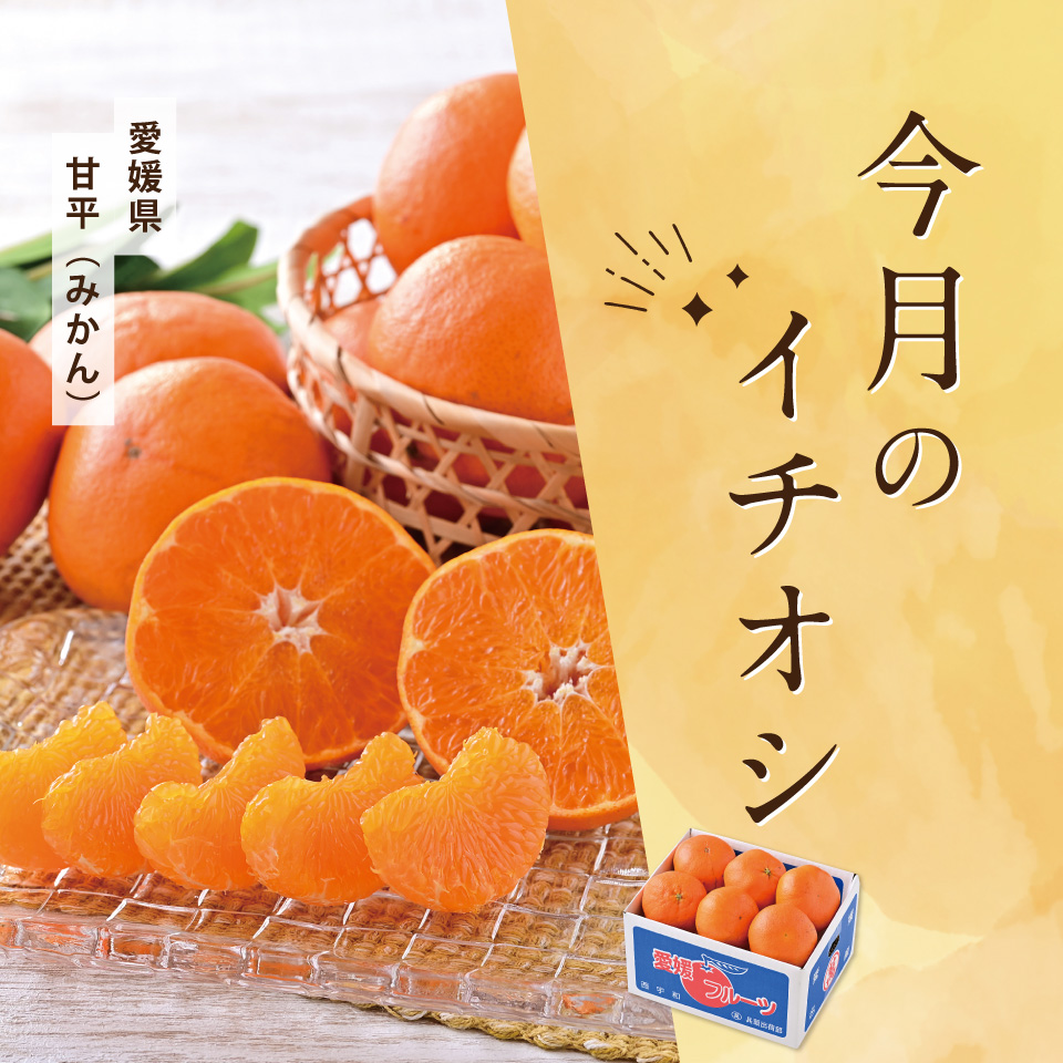 今月のイチオシ