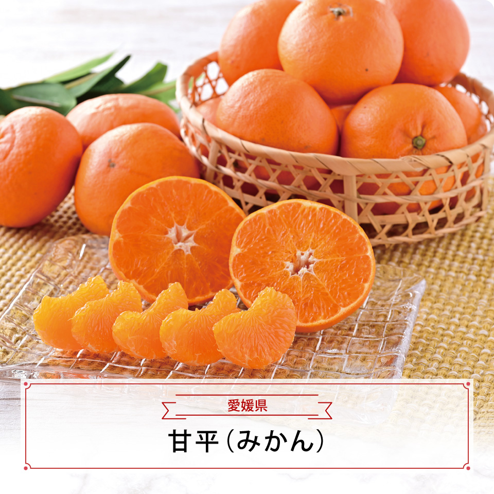 甘平（みかん）　１．５ｋｇ