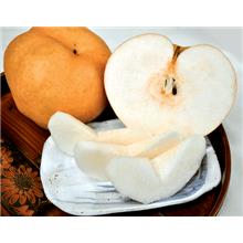 あたご梨 約1.8kg(2玉)