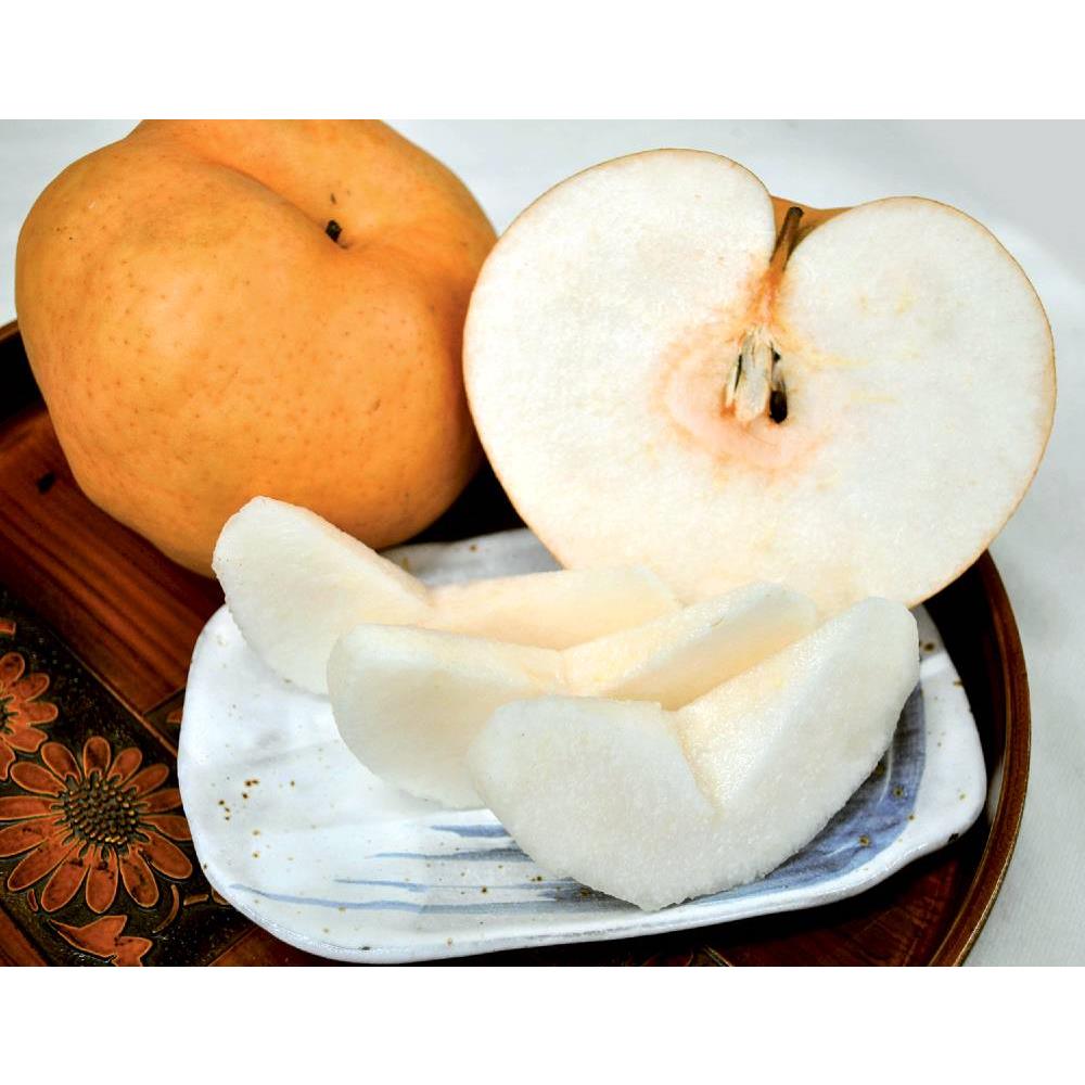 あたご梨 約1.8kg(2玉)