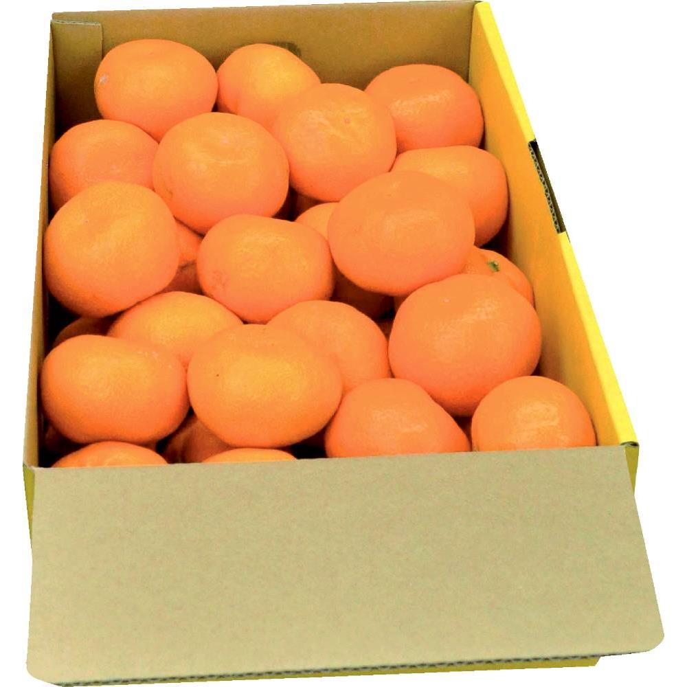 有田みかん 約5kg
