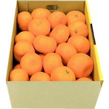 有田みかん 約3kg
