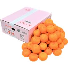 ゆらっ子みかん 約5kg