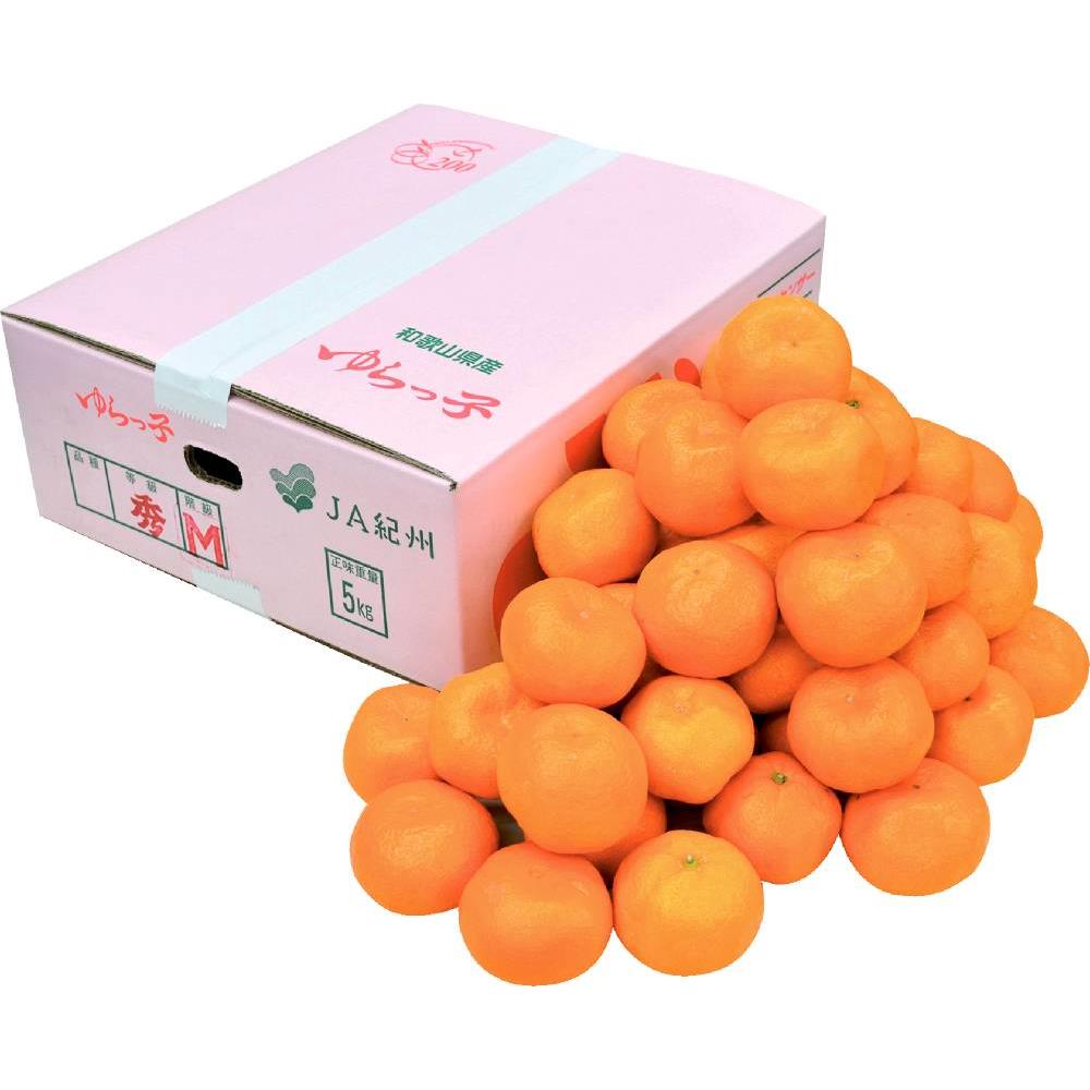 ゆらっ子みかん 約5kg
