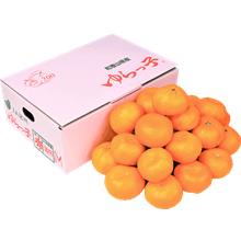 ゆらっ子みかん 約3kg