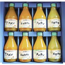 特選九州みかん飲み比べ8本セット