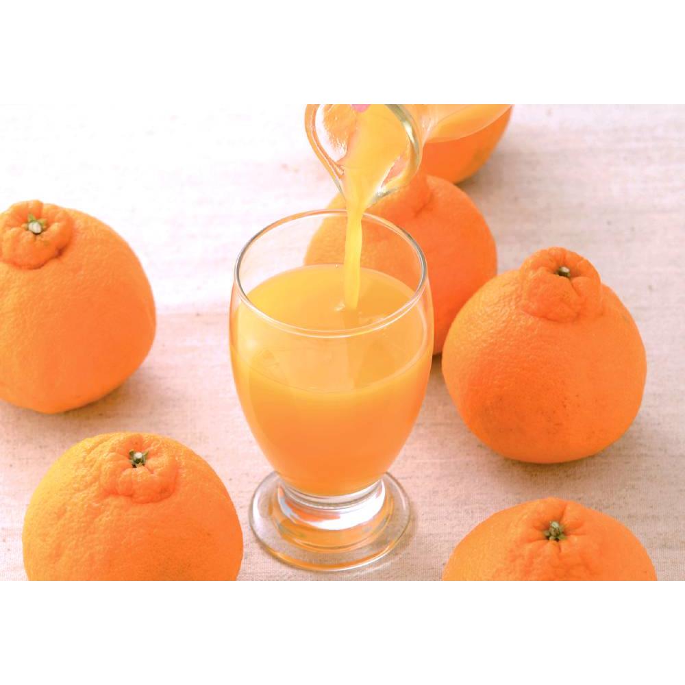 特選九州みかん飲み比べ8本セット