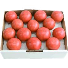 フルーツトマト「ハニーエイト」