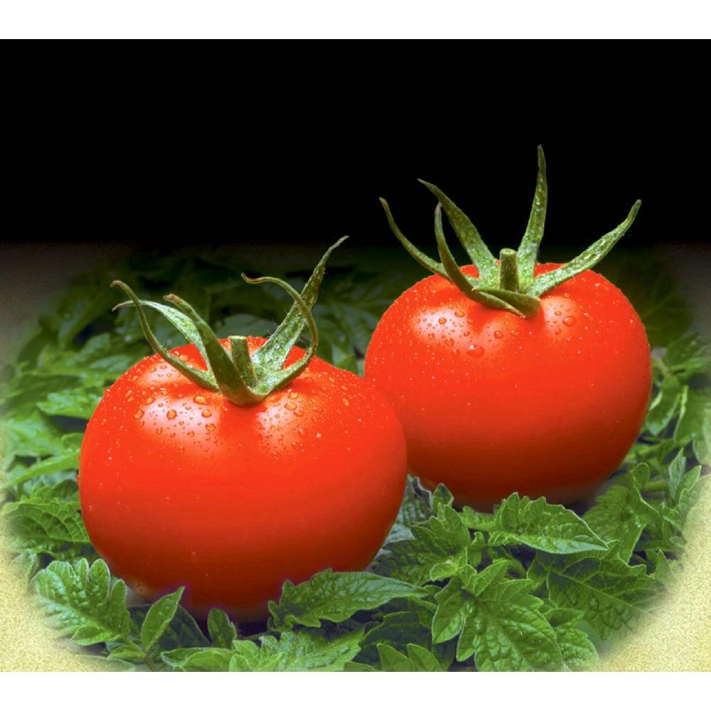 百年品質トマトジュース(缶)