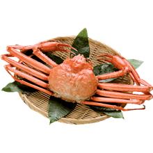日本海産 紅ずわいがに棒肉