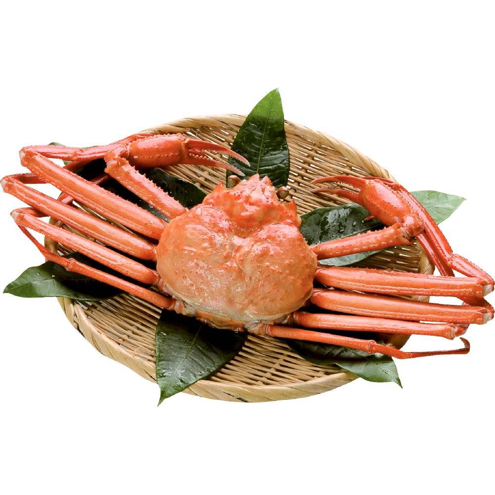 日本海産 紅ずわいがに棒肉