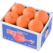 甘平(みかん) 1.5kg