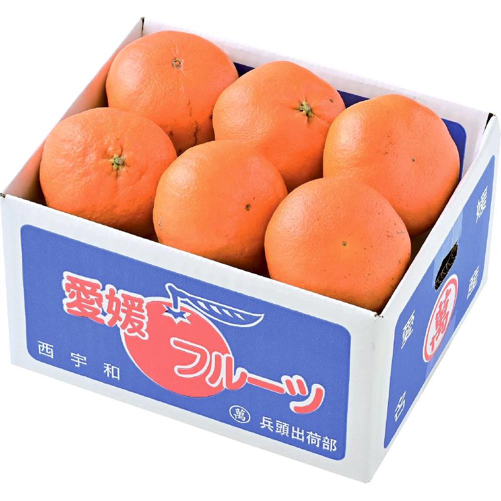 甘平(みかん) 1.5kg