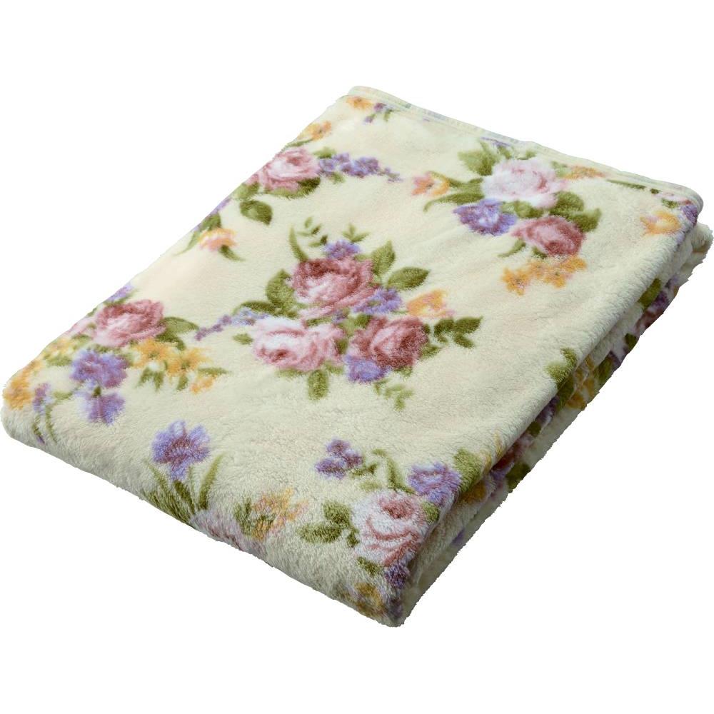 <2024-25年度版>ボーベル カロット