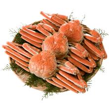 <2024-25年度版>ボーベル エシャロット