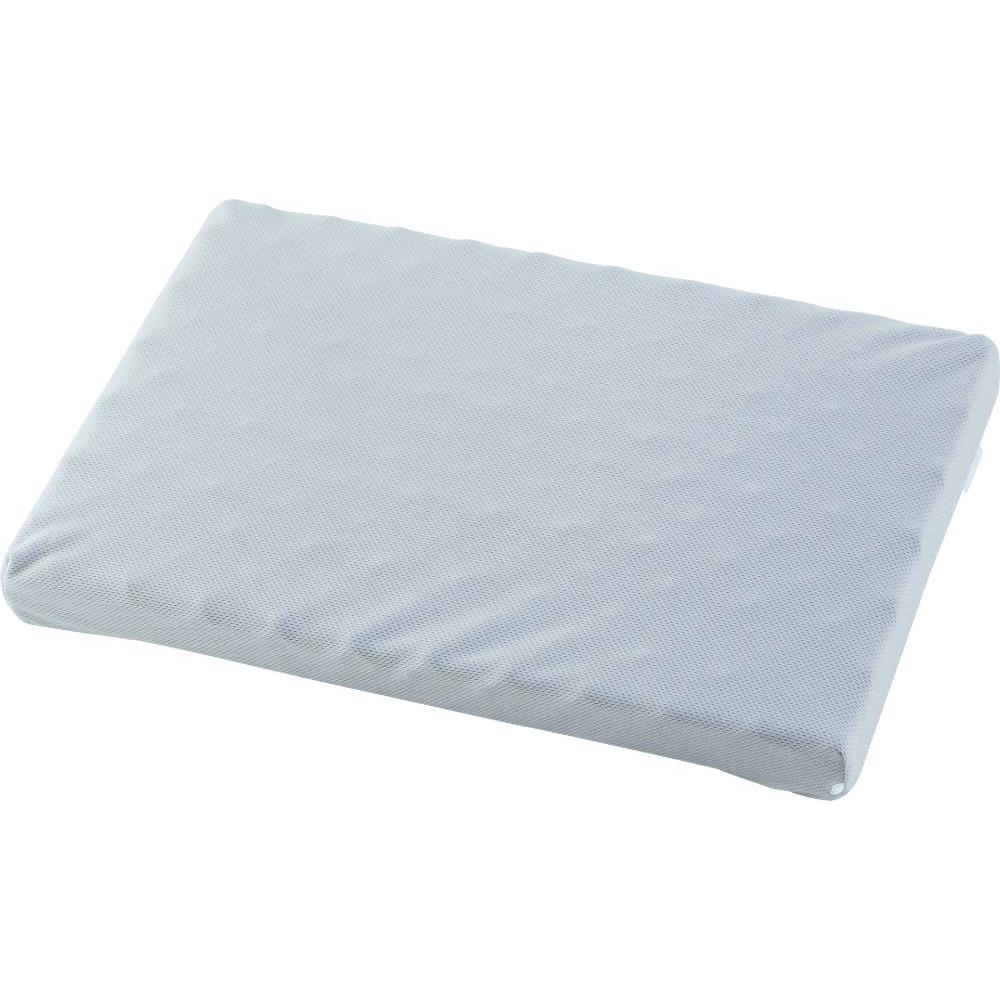 <2024-25年度版>ボーベル エシャロット