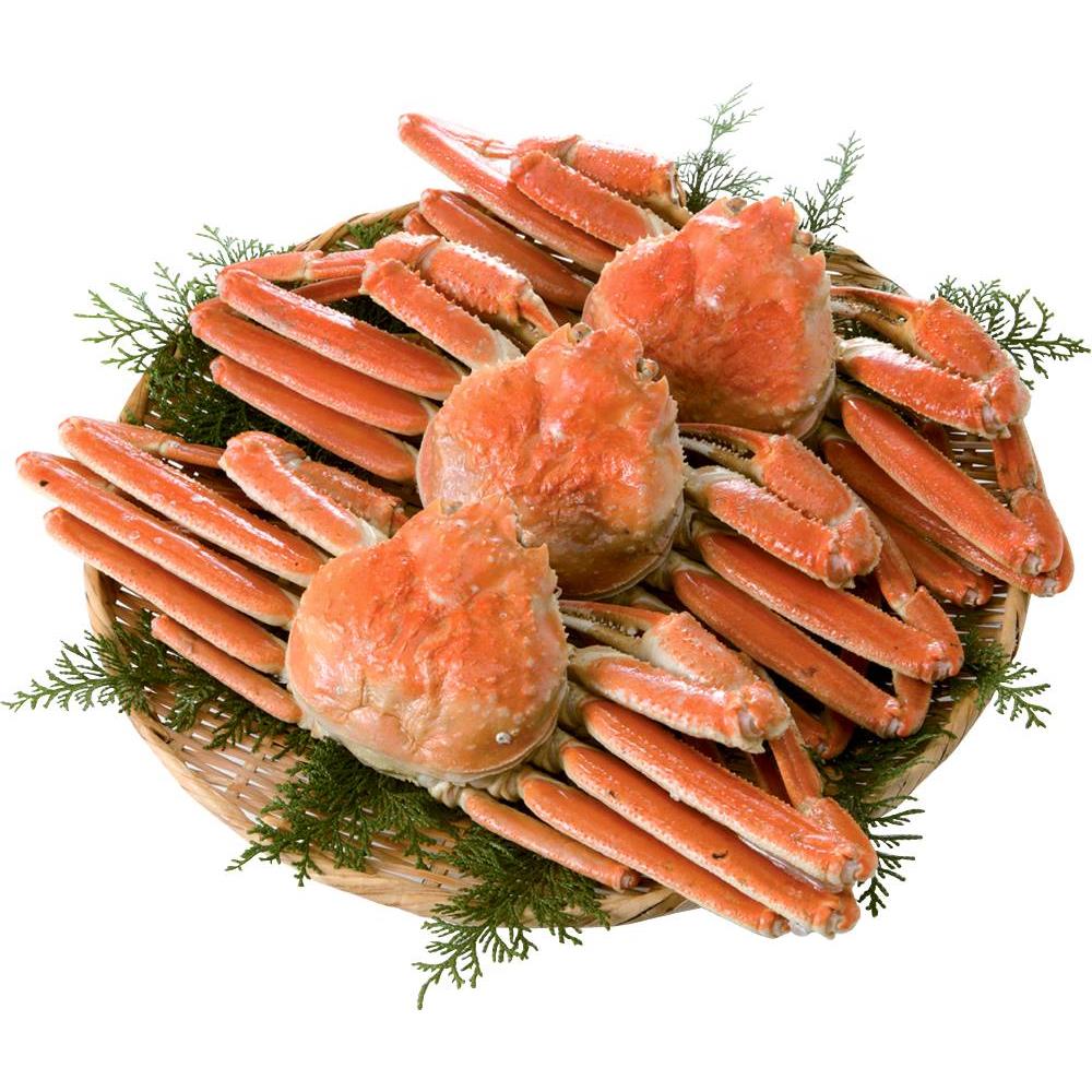 <2024-25年度版>ボーベル エシャロット