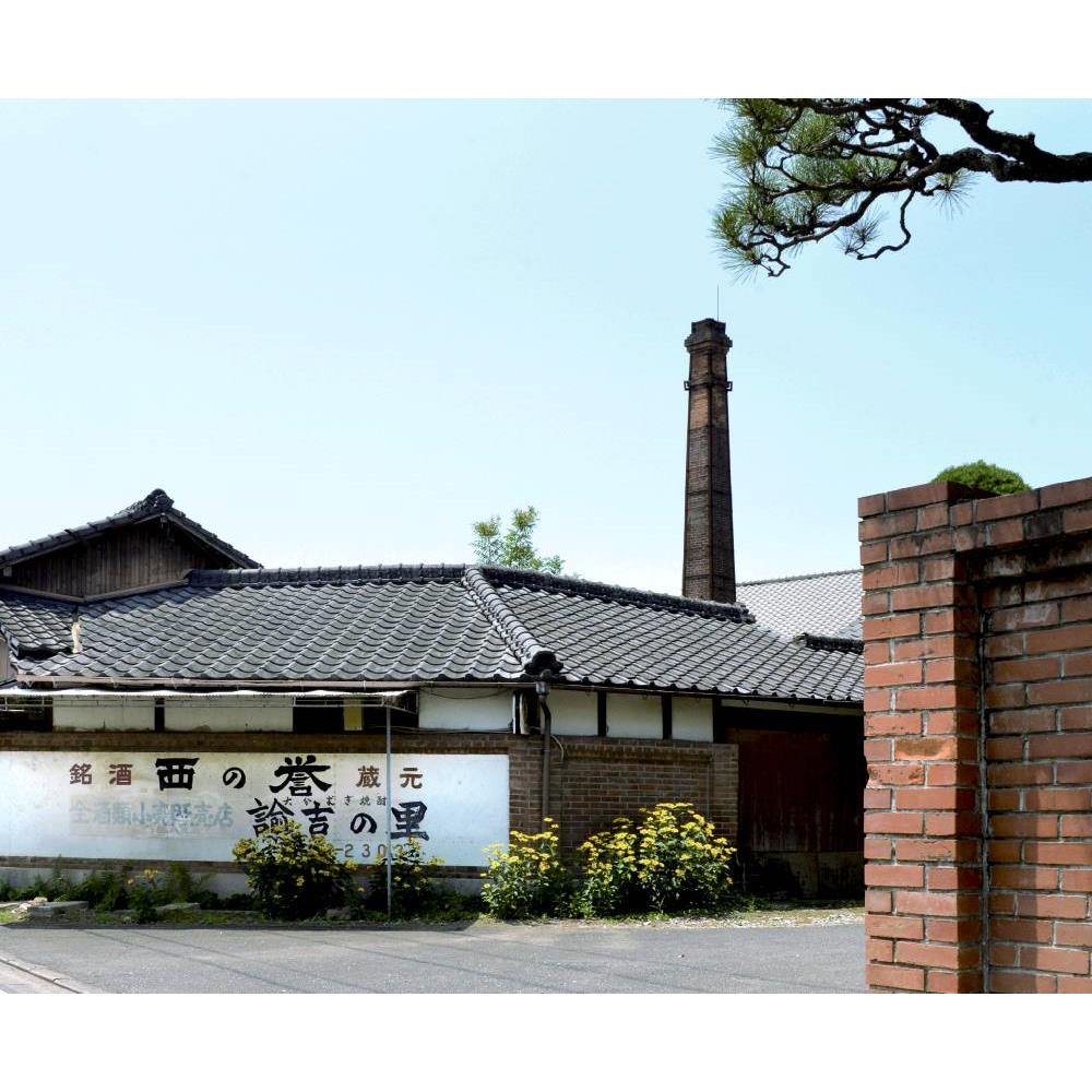 【父】Amopapa 麦焼酎とタンブラーセット