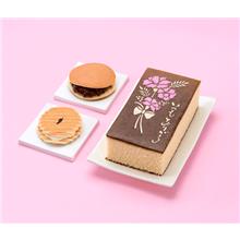 【母】母の日カステーラ詰合せ