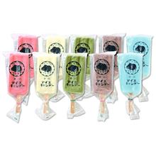 カバ印アイスキャンデー10本セット