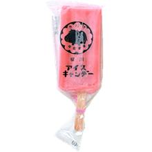 カバ印アイスキャンデー10本セット