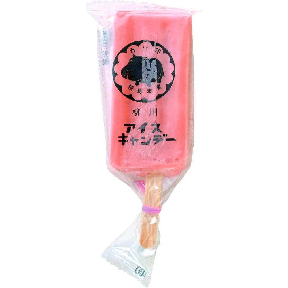 カバ印アイスキャンデー10本セット