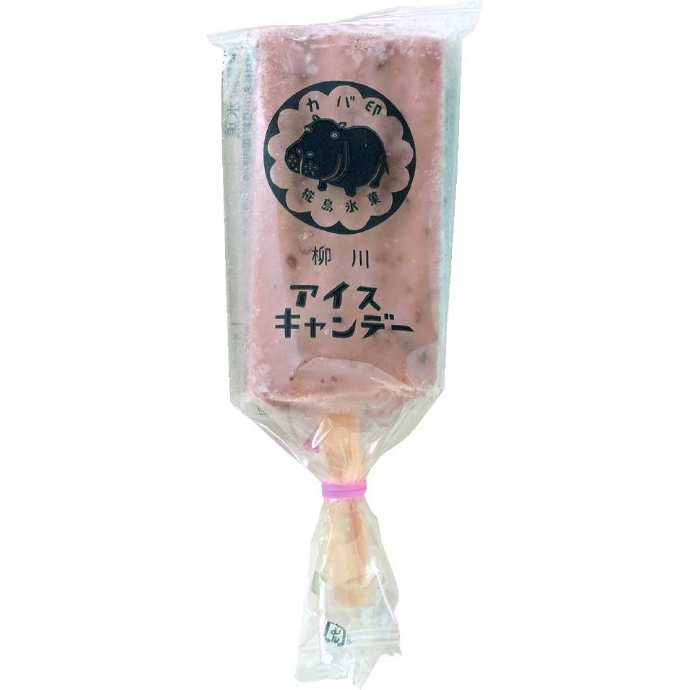 カバ印アイスキャンデー10本セット